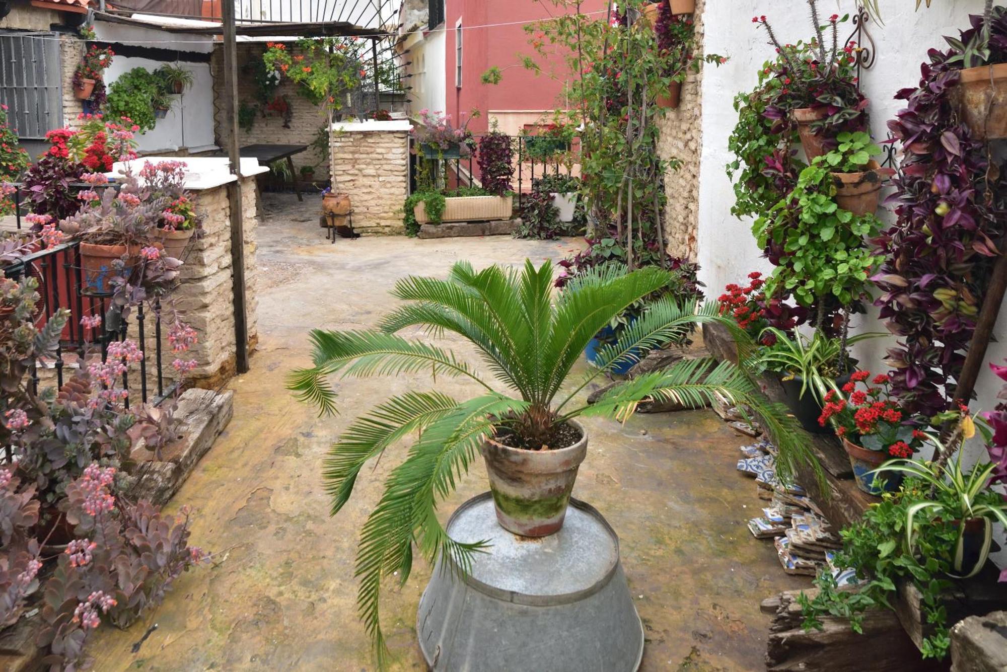 Casa Tenorio Barrio De Santa Cruz Seville Exterior photo